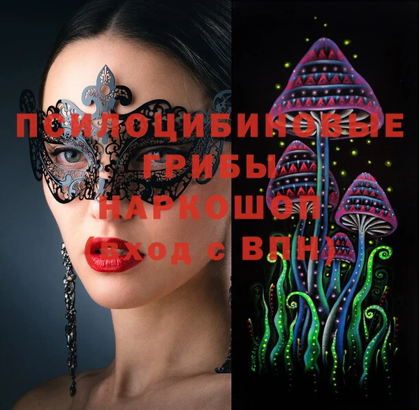 стафф Абинск