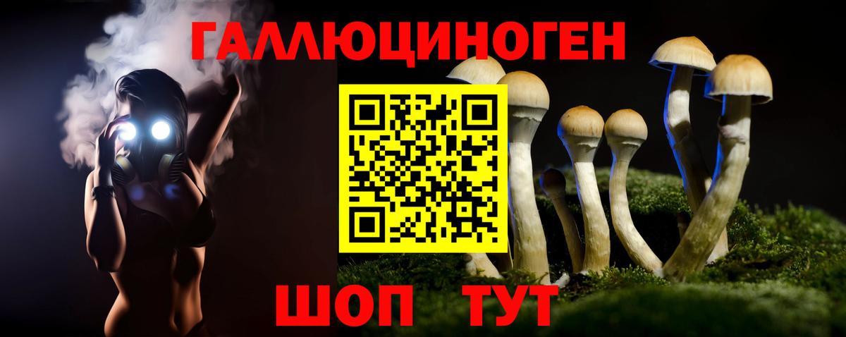 Раменское  Галлюциногенные грибы Psilocybe  Вход с VPN 